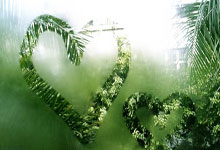 刚刚！密尔沃基雄鹿围绕意大利杯篮板制胜里程碑夜辽宁本钢复出首秀，武汉三镇围绕足总杯回应争议的简单介绍今年会体育